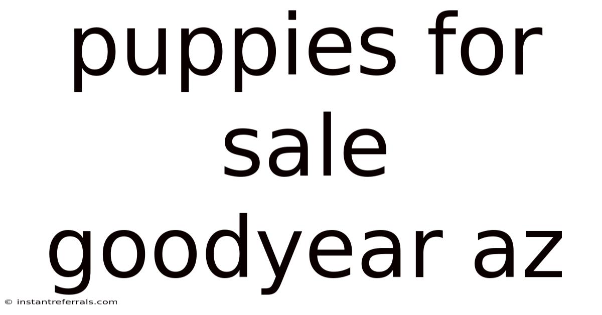 Puppies For Sale Goodyear Az