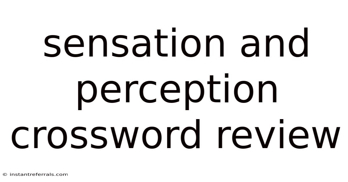 Sensation And Perception Crossword Review