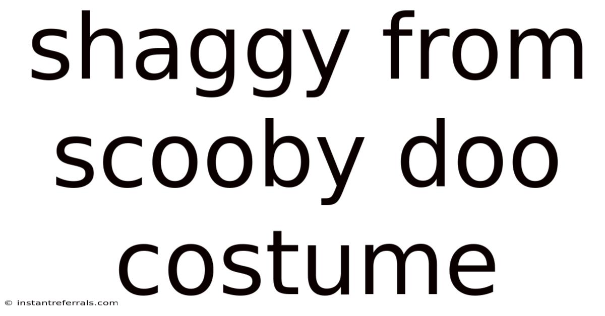 Shaggy From Scooby Doo Costume