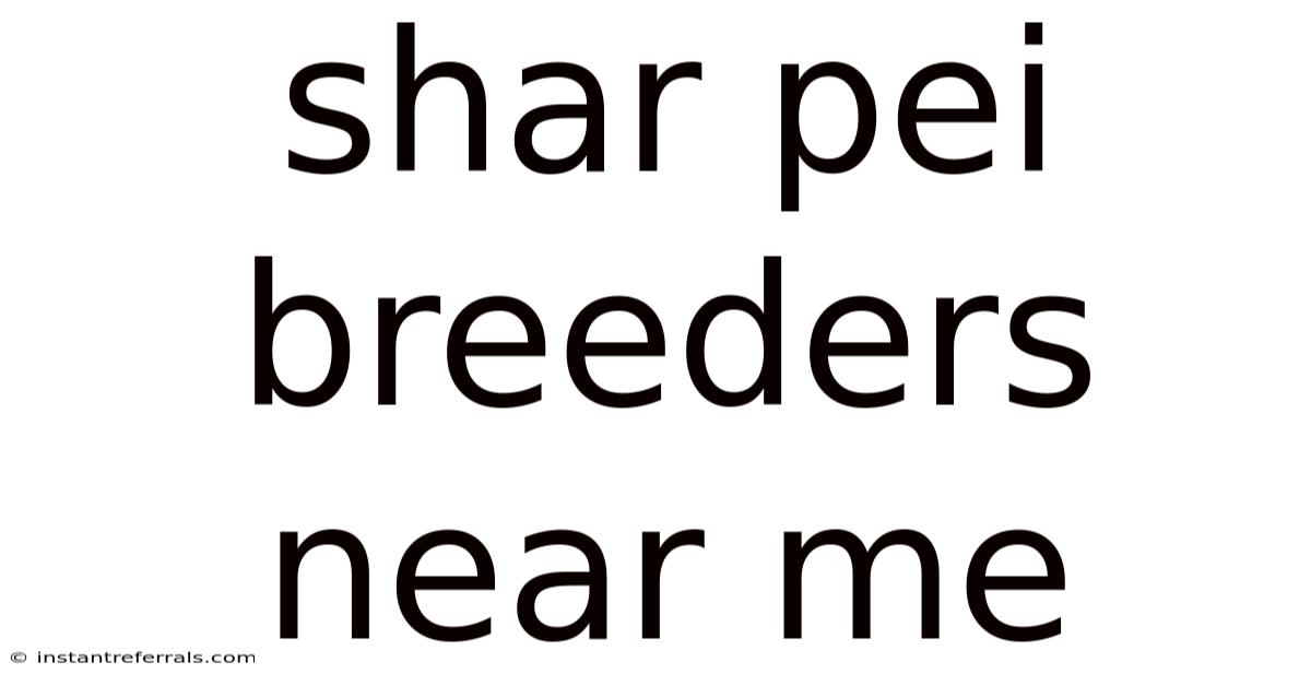 Shar Pei Breeders Near Me