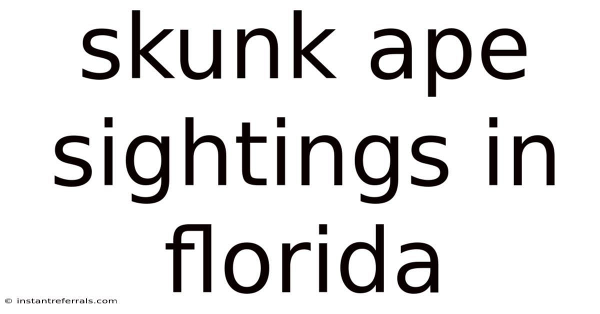 Skunk Ape Sightings In Florida