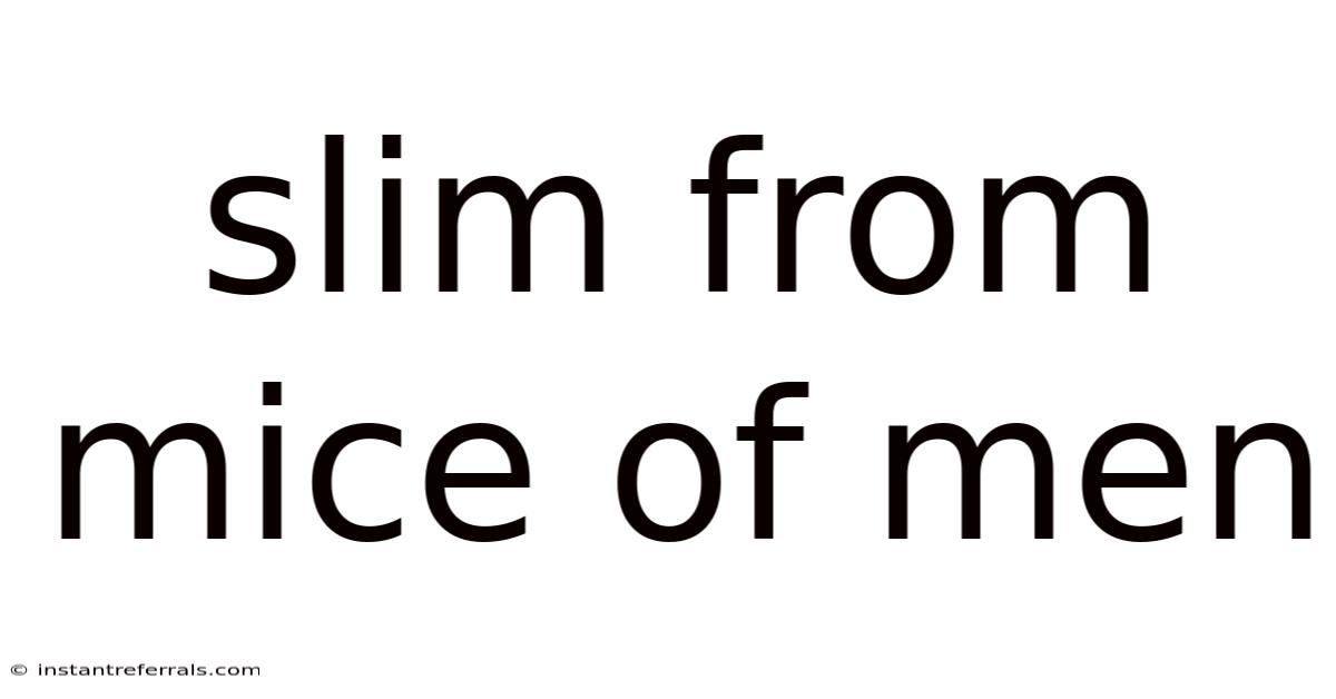 Slim From Mice Of Men
