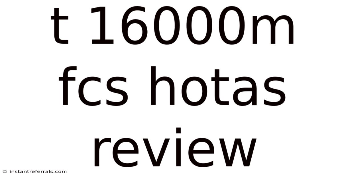 T 16000m Fcs Hotas Review
