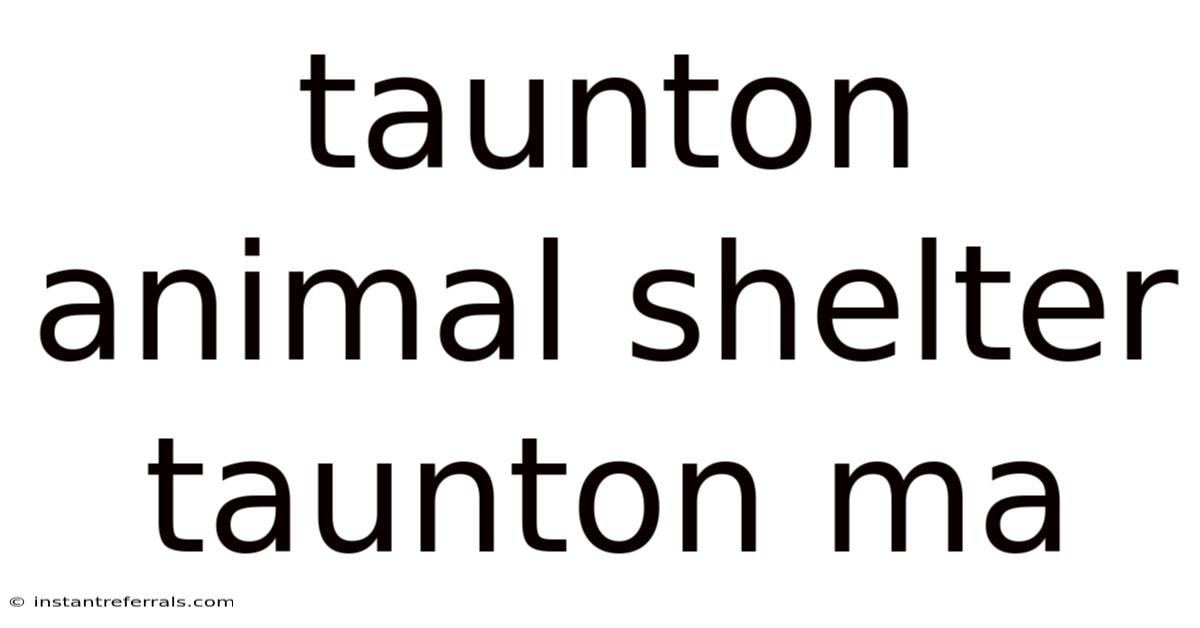 Taunton Animal Shelter Taunton Ma
