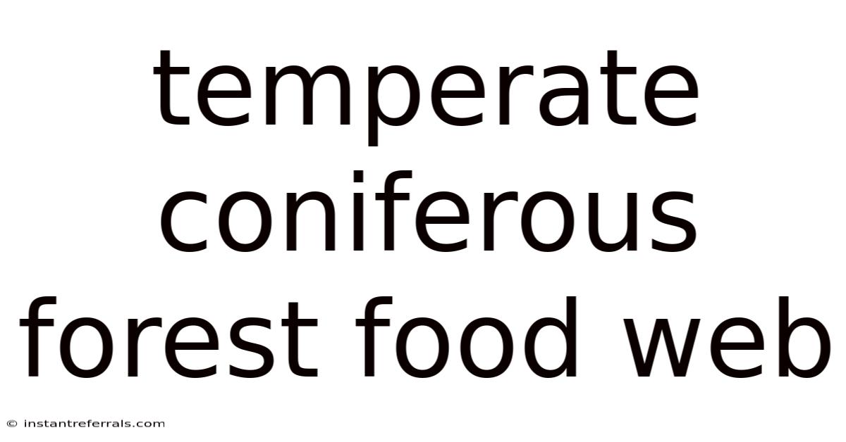 Temperate Coniferous Forest Food Web