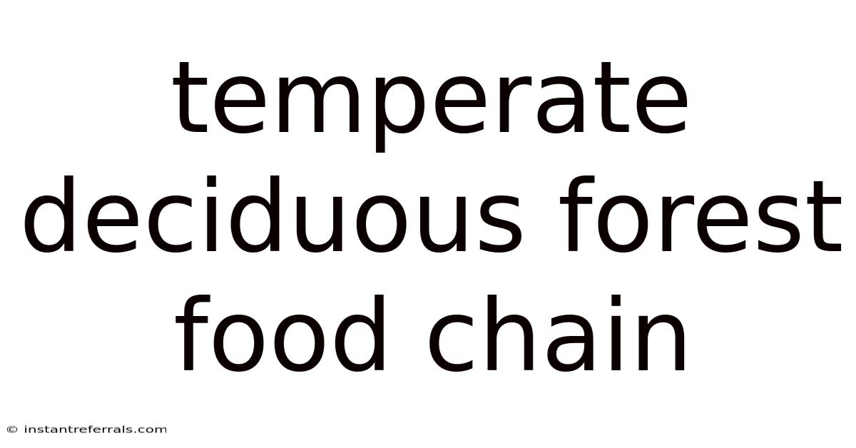 Temperate Deciduous Forest Food Chain