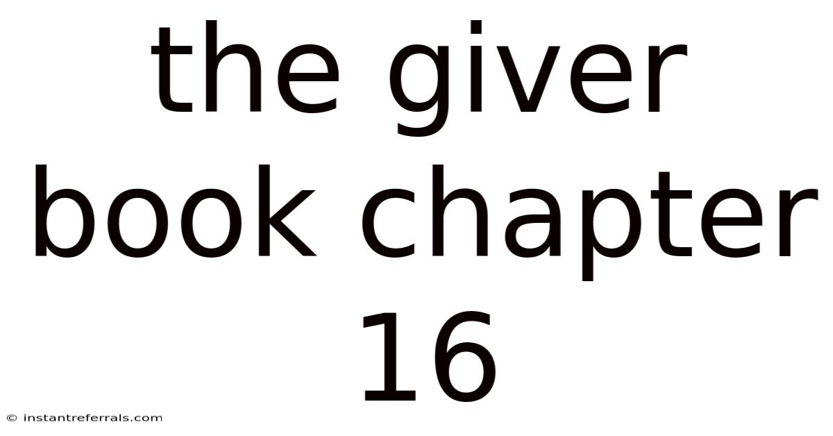 The Giver Book Chapter 16