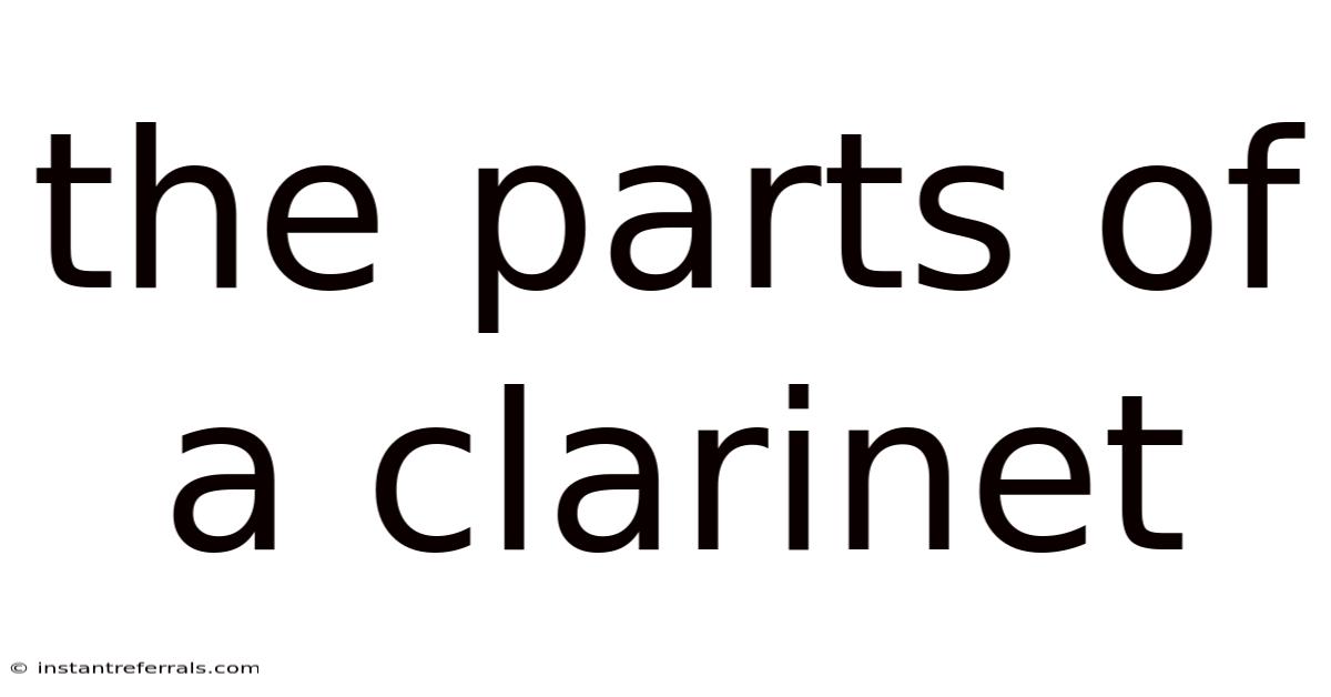 The Parts Of A Clarinet