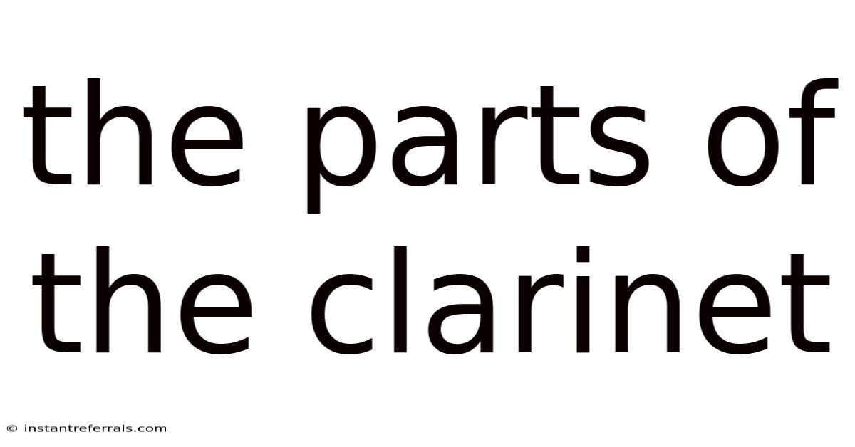 The Parts Of The Clarinet