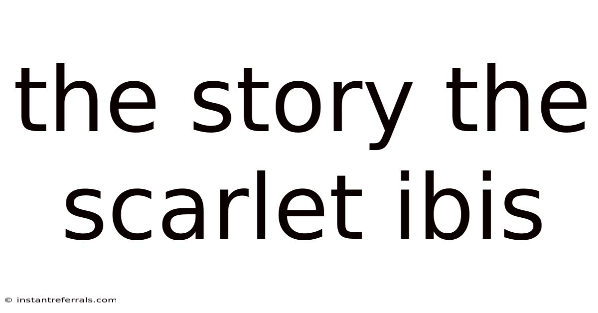 The Story The Scarlet Ibis