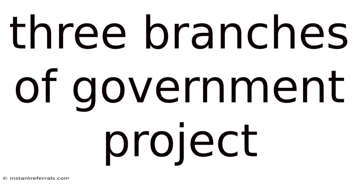 Three Branches Of Government Project