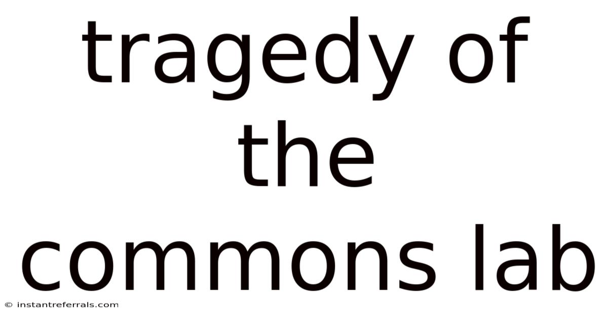 Tragedy Of The Commons Lab