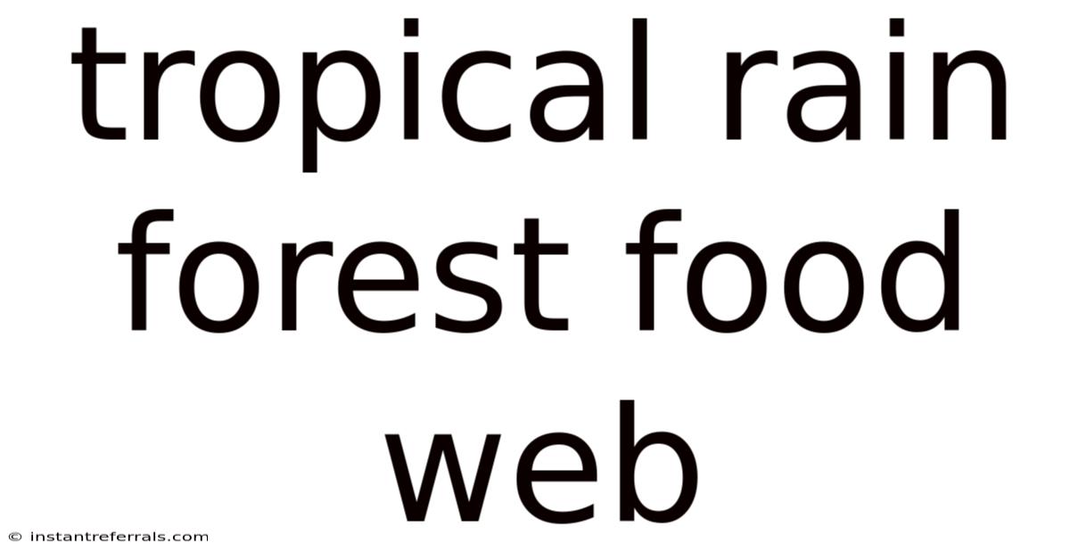 Tropical Rain Forest Food Web