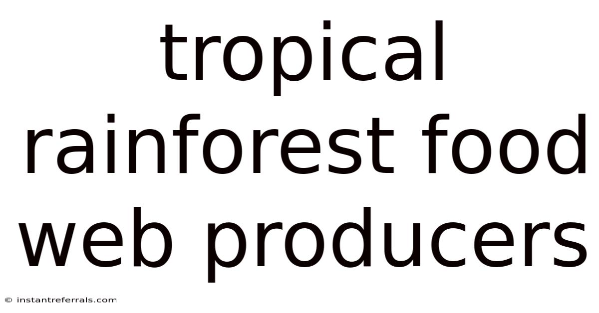 Tropical Rainforest Food Web Producers