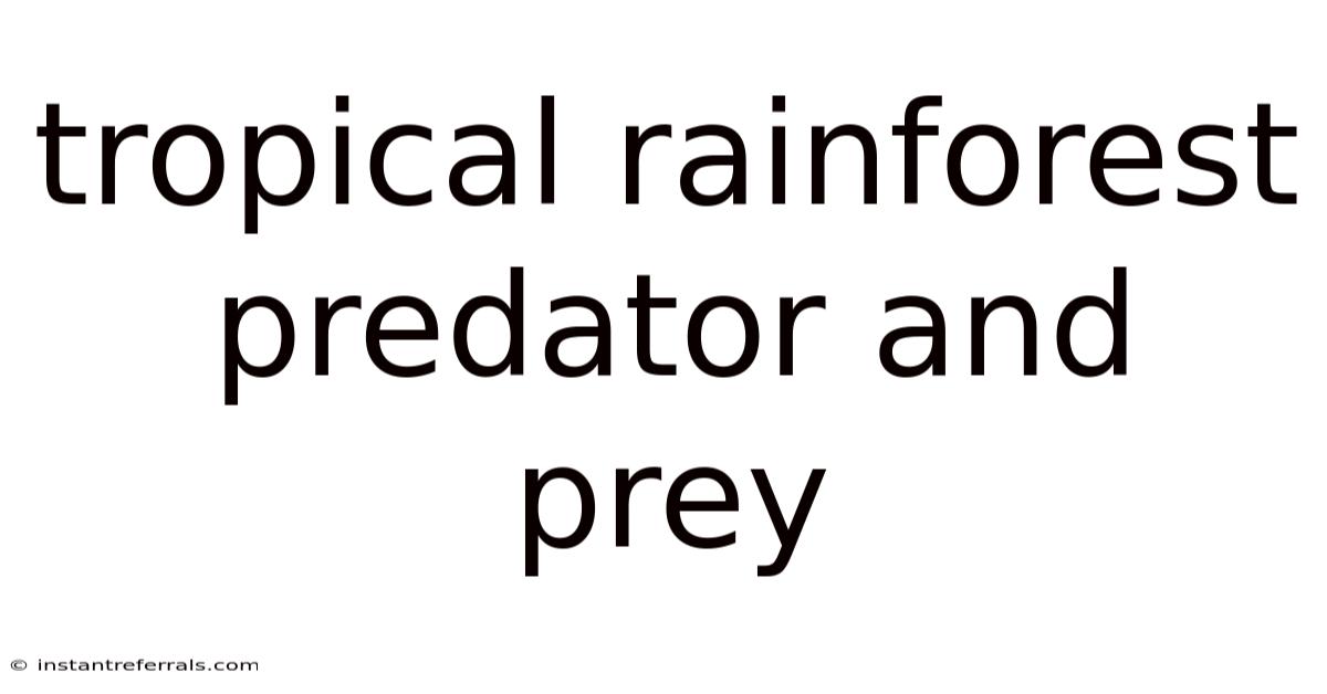 Tropical Rainforest Predator And Prey