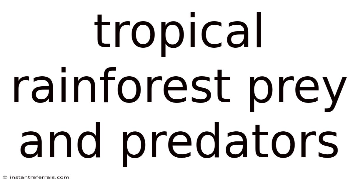 Tropical Rainforest Prey And Predators