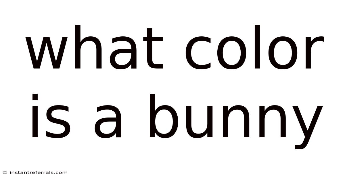 What Color Is A Bunny