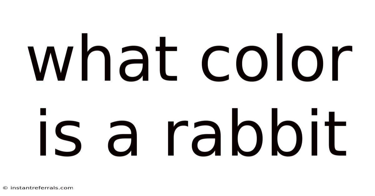 What Color Is A Rabbit
