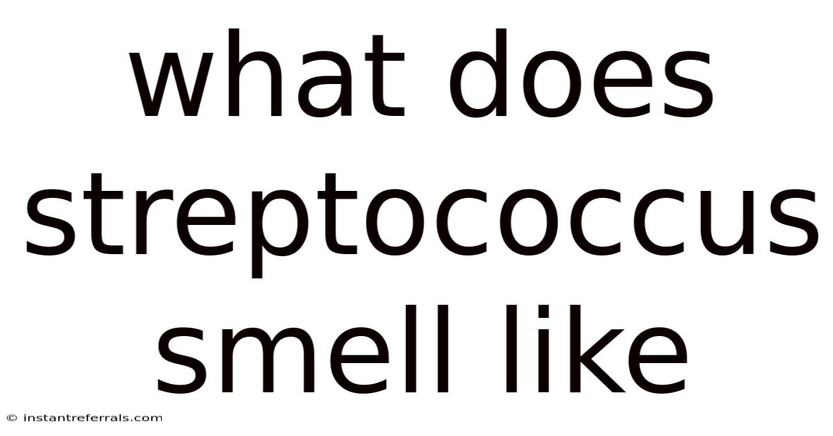 What Does Streptococcus Smell Like