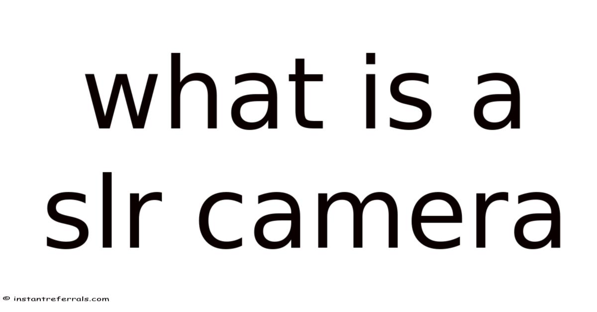 What Is A Slr Camera