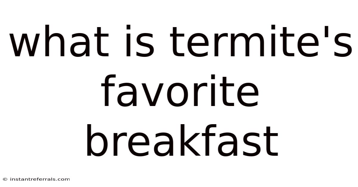 What Is Termite's Favorite Breakfast