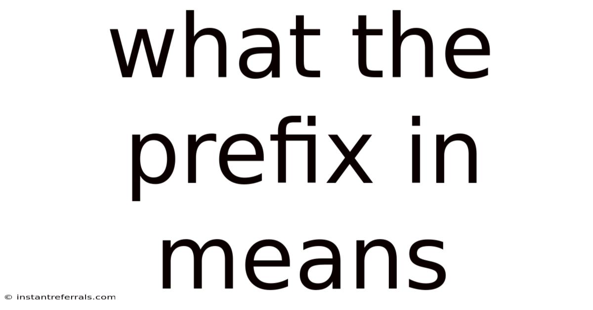 What The Prefix In Means
