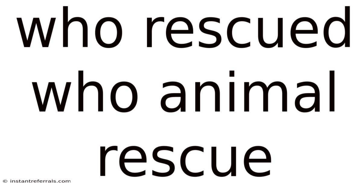Who Rescued Who Animal Rescue